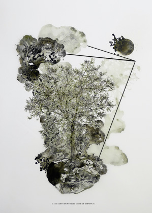 Scheermann, min lore ea eum 10